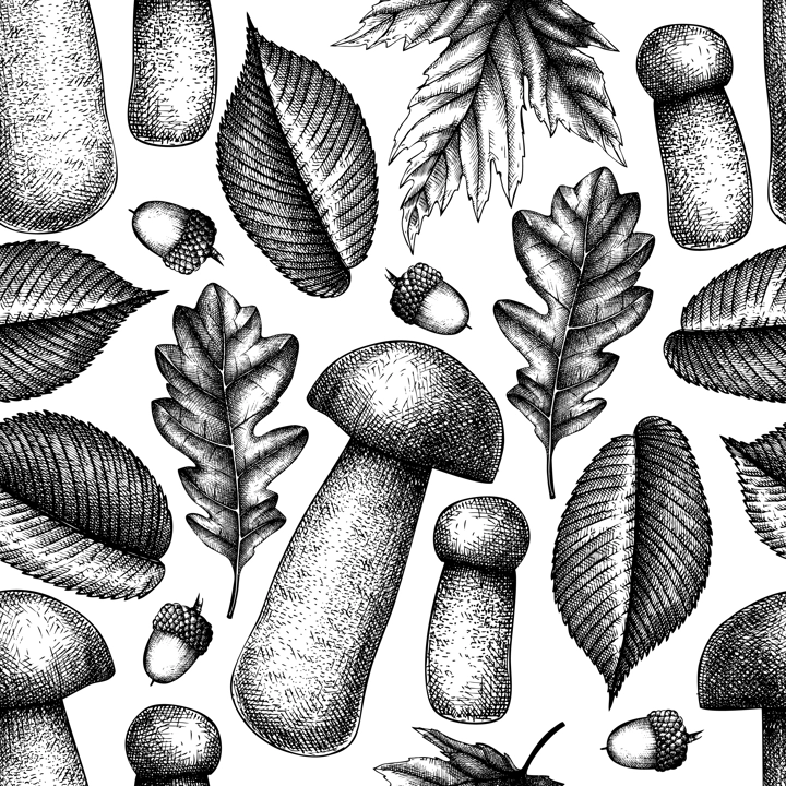 Woodland background. Mushroom seamless pattern. Autumn forest plants sketches. Hand-drawn vector illustration. Botanical design. NOT AI generated.